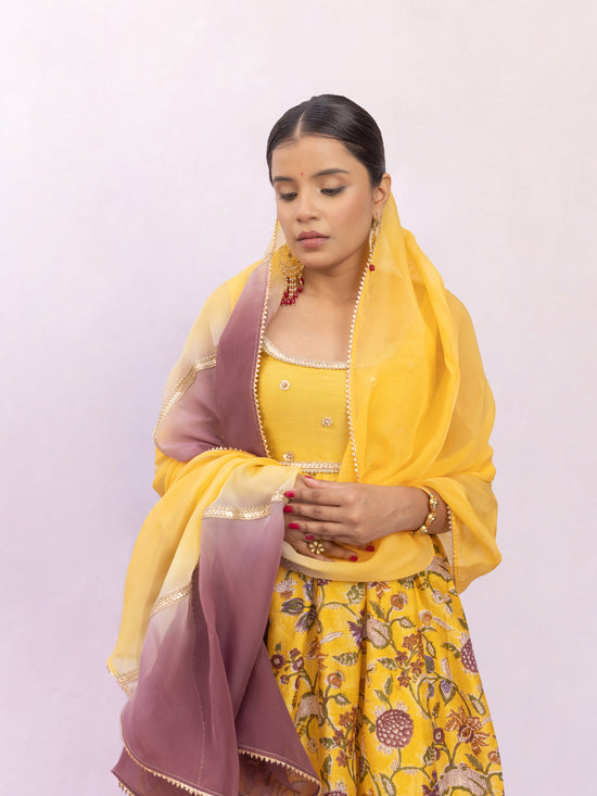 Sita Yellow Chanderi Silk - Set of 3